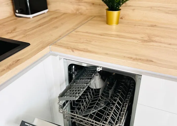 Coral Plaza 코라레호