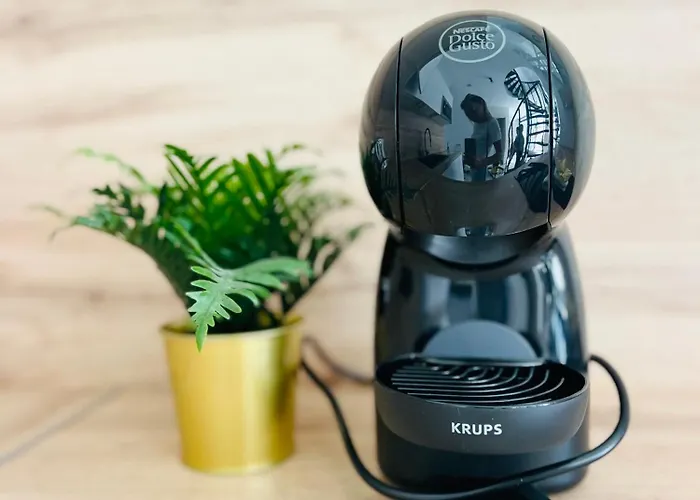 Coral Plaza 코라레호