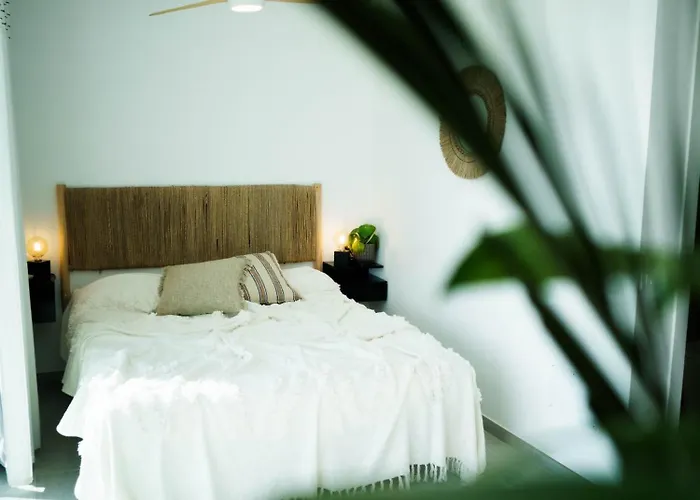 Coral Plaza * 코라레호